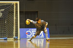 F.LEAGUE 2010 第13節