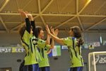 F.LEAGUE 2010 第20節