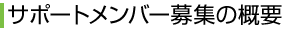 サポートメンバー募集の概要