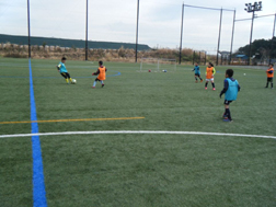 fb190205_01_01.jpg