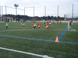 fb190205_01_02.jpg