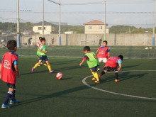 fb1903331_01_01.jpg