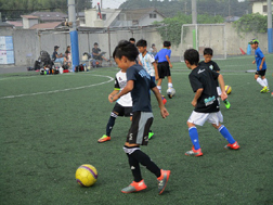 fb1903331_03_01.jpg