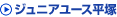 ジュニアユース平塚